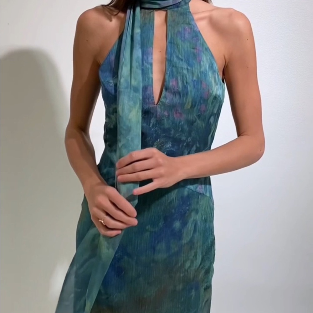 RARE - NWT Monet Dress - Irises - Picture 3 of 8